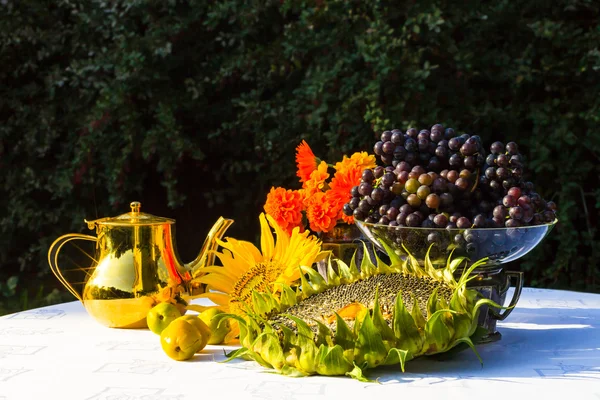 Glass bowl with a blue grapes Isabella and viburnum berries Stock Photo