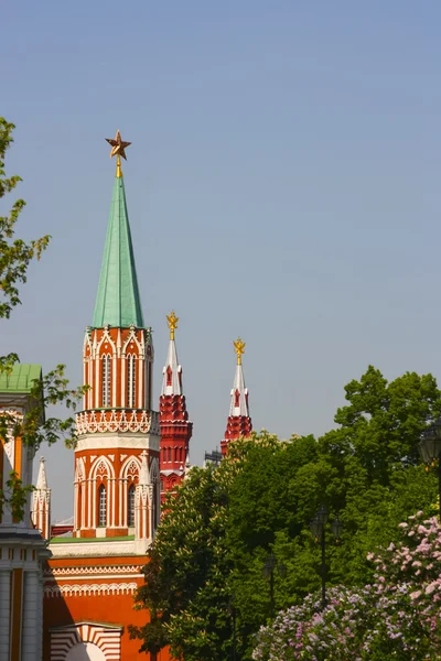 Ryssland, Moskva, Kreml, Kreml torn våren. Blommande lil — Stockfoto