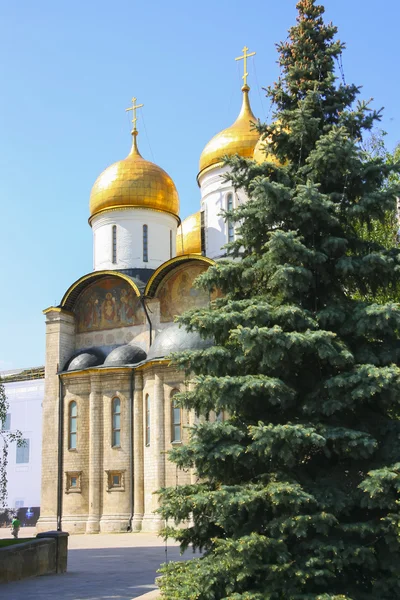 俄罗斯, 莫斯科, 2011年5月2日-克里姆林宫, 大教堂 — 图库照片