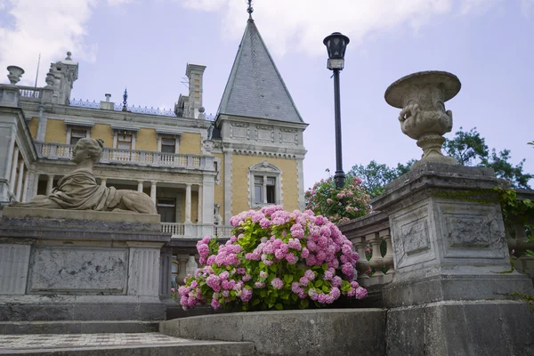 Elegante, lussuoso cespuglio rosa ortensia nel parco Massandra Palace — Foto Stock