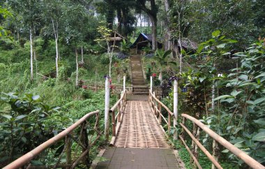 Banyuwangi, Endonezya - 7 Temmuz 2019: Kalibendo turistik merkezinde serin ve güzel bir atmosfer. Turistlerin ziyaret edebileceği tarlalar, nehirler ve şelaleler var..