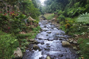 Banyuwangi, Endonezya - 7 Temmuz 2019: Kalibendo turistik merkezinde serin ve güzel bir atmosfer. Turistlerin ziyaret edebileceği tarlalar, nehirler ve şelaleler var..
