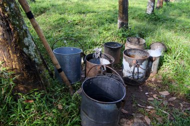 Lastik lateks için eski metal kova.