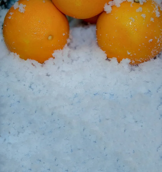 Tangerini nella neve un sacco di spazio per il testo. Il simbolo delle vacanze invernali è il frutto dell'albero di mandarino, una bella cartolina. — Foto Stock