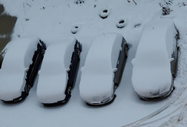 Four cars in the parking lot are covered with a thick layer of snow. A lot of snow fell on the street, everything around was covered with snow. The concept of weather anomaly, falling snow.