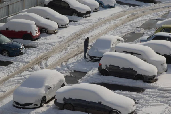 Kışın kar yağarken araba park etmek. Otoparkta kar fırtınası ile kaplı arabalar var. Araba taze beyaz karla kaplı. Otoparkta kar arabaları var..