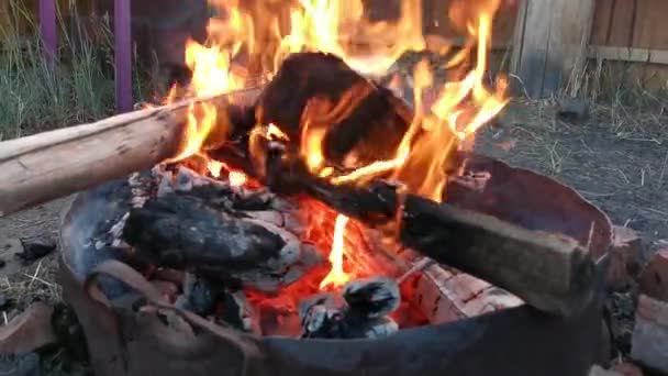 Detailní Záběr Plameny Ohně Večerní Táborák Polena Hoří Jiskry Lítají — Stock video