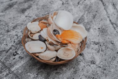 Bir kasede deniz kabukları, ev içi.