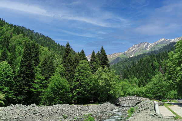 Ritsa relict national park in Abkhazia