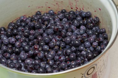 Böğürtlen ve diş minesi.