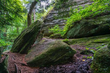 Kuzeydoğu Ohio 'daki Thompson Ledges Parkı' nda göreceğiniz bazı şeyler..
