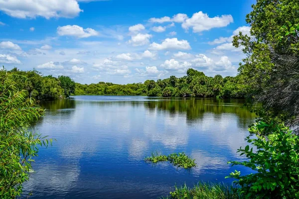 Myakka River Showing Its Beautiful Calm Waters Sunny Summer Day — Stock Photo, Image