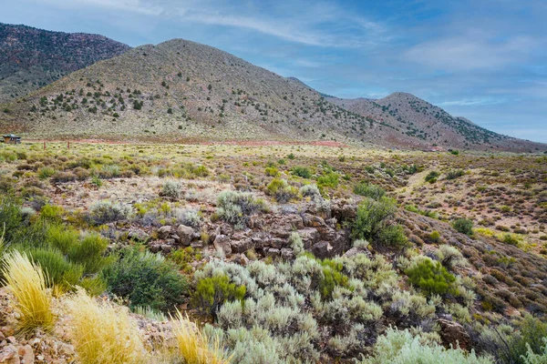 Algunos Los Increíbles Paisajes Del Norte Arizona — Foto de Stock