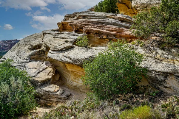 콜로라도 기념물 공원에 수있는 암석층들 — 스톡 사진
