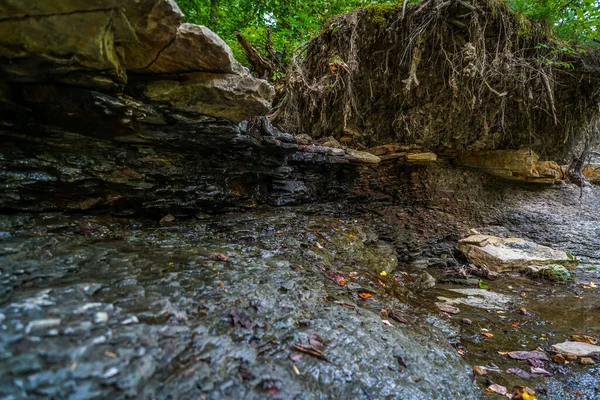 Jest Hell Hollow Wilderness Area Odizolowanych Lasach Lake County Ohio — Zdjęcie stockowe