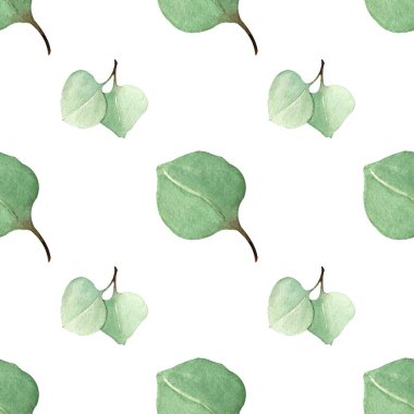 Çiçekli suluboya resimlerden bir desen - okaliptüs yapraklarının toplanması, düğün kırtasiyesi için, tebrikler, duvar kağıdı, moda, arka plan. Okaliptüs, zeytin, yeşil yapraklar, vs..