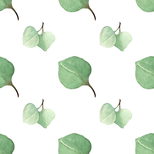 Çiçekli suluboya resimlerden bir desen - okaliptüs yapraklarının toplanması, düğün kırtasiyesi için, tebrikler, duvar kağıdı, moda, arka plan. Okaliptüs, zeytin, yeşil yapraklar, vs..