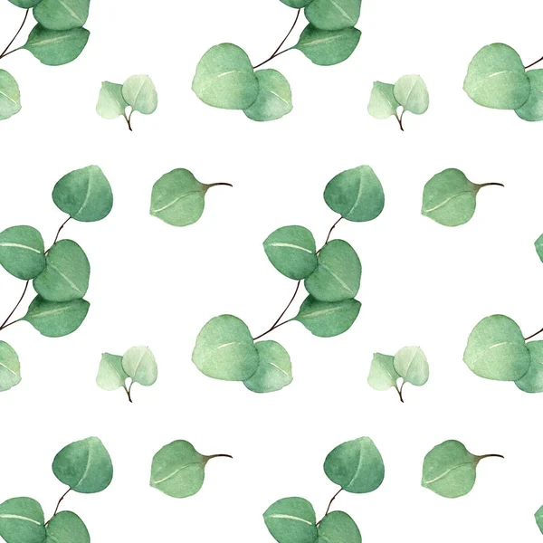 Vzor Akvarelových Květinových Ilustrací Sbírka Eukalyptových Větví Zelených Listů Pro — Stock fotografie
