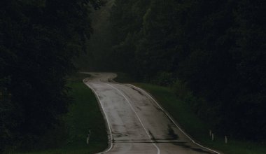 Orman tünelinden geçen yol.