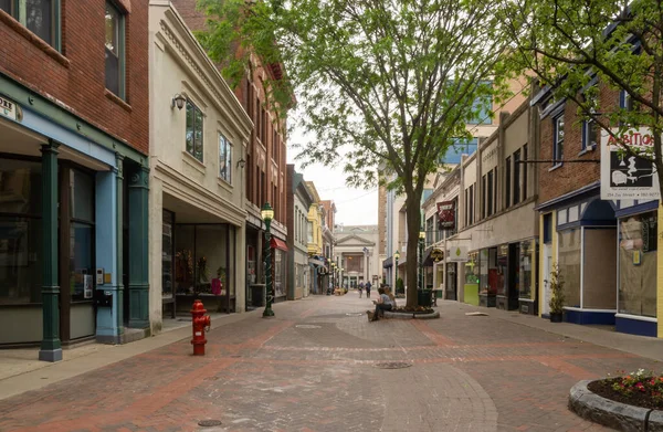 Schenectady Usa May 2021 Landscape View Jay Street Pedestrian Mall — Stock Photo, Image