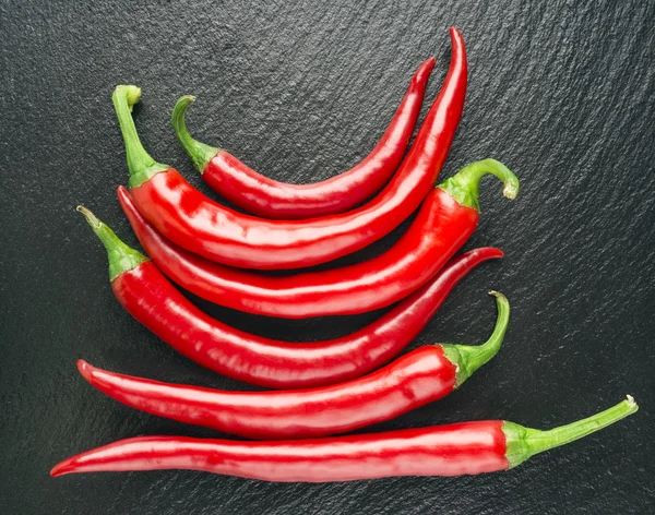 Gården färsk chili — Stockfoto