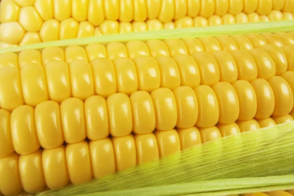 Świeże surowe kolby kukurydzy — Zdjęcie stockowe