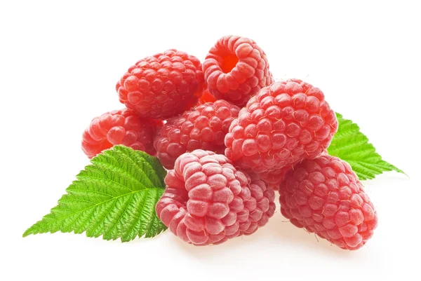 Himbeeren — Stockfoto