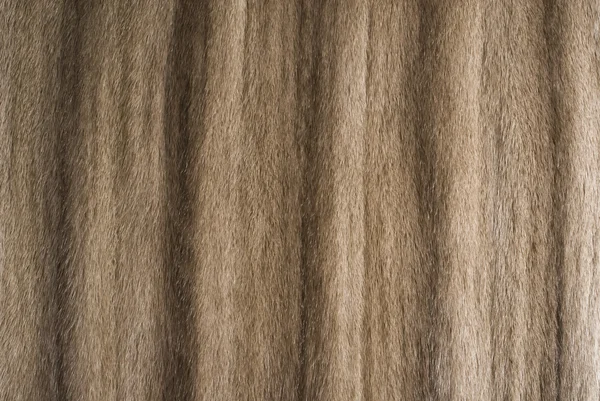 Mink fur background — Stock Photo, Image