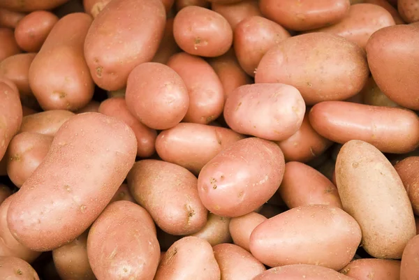 Batatas no mercado — Fotografia de Stock