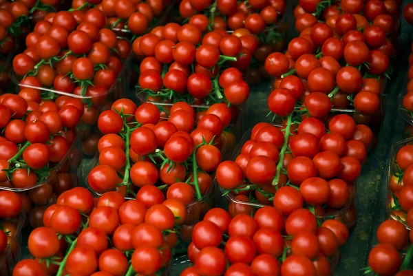 Fresh tomatoes — Stock Photo, Image