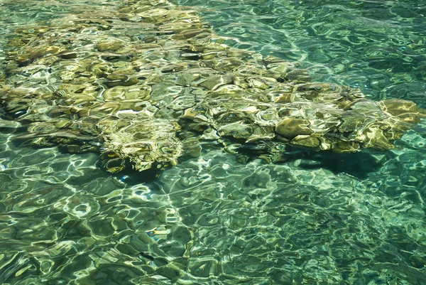 Piedras en aguas claras —  Fotos de Stock