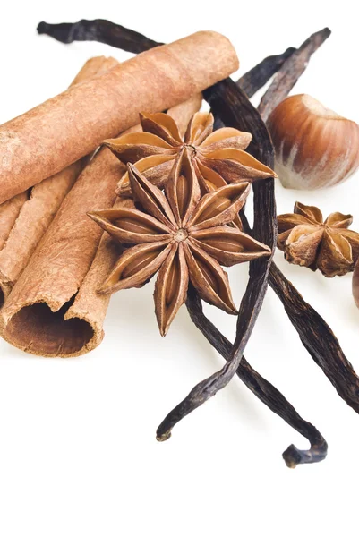 Aromatic spices — Stock Photo, Image