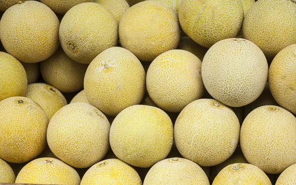 Fondo de melones frescos —  Fotos de Stock