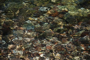 Deniz berrak suları