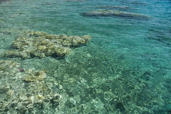 Deniz berrak suları