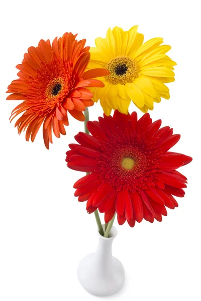 Žlutá a červená gerbera květiny — Stock fotografie