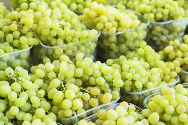 Winogron w plastikowych pudełkach — Zdjęcie stockowe