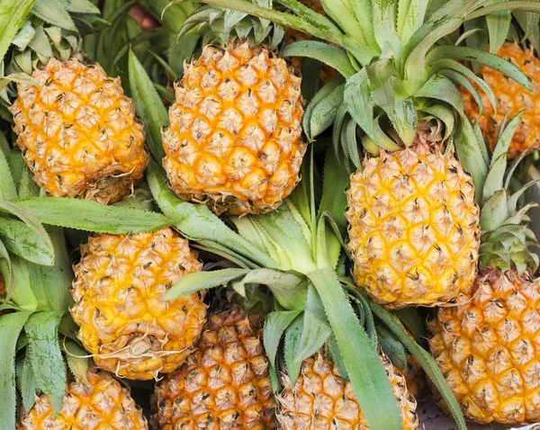 Färsk mogen ananas — Stockfoto