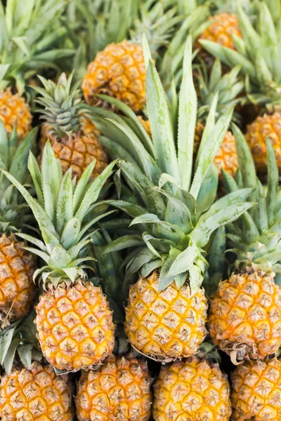 Ananas freschi maturi — Foto Stock