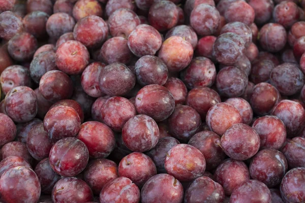 Ripe fresh plums — Stock Photo, Image
