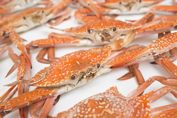 Red fresh crabs — Stock Photo, Image