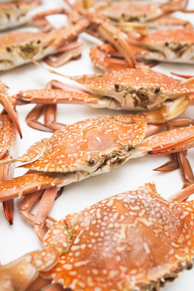 Red fresh crabs — Stock Photo, Image