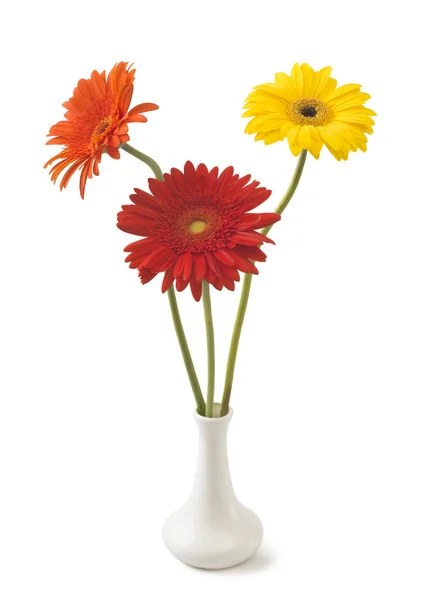 Sárga és piros gerbera virágok — Stock Fotó
