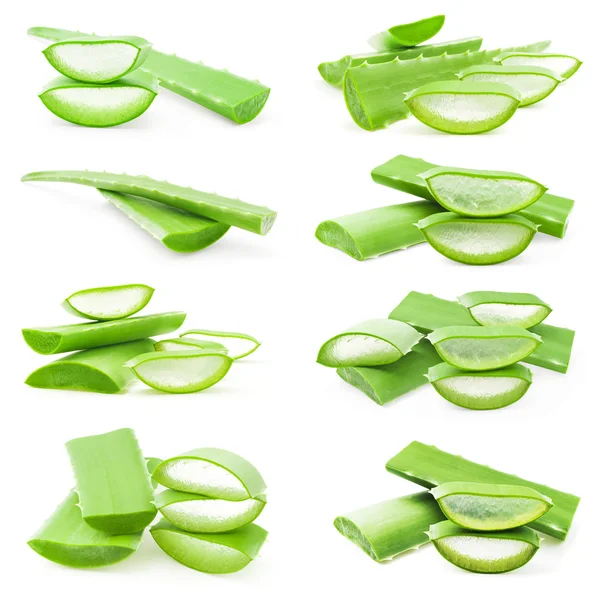 Aloe vera fresh leaves — Stock Photo, Image