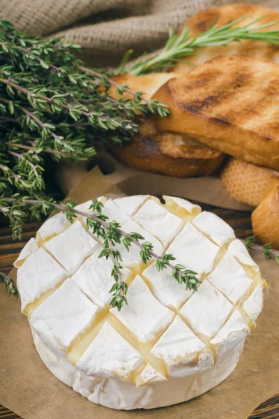 Pişmiş camembert peyniri — Stok fotoğraf