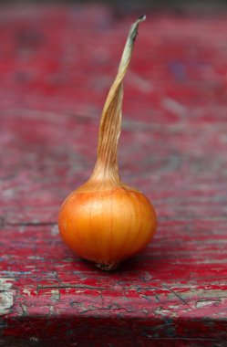 eski bir ahşap zemin üzerine soğan