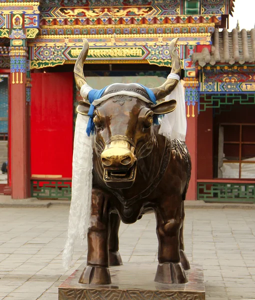 在内蒙古呼和浩特市大昭寺青铜公牛 — 图库照片