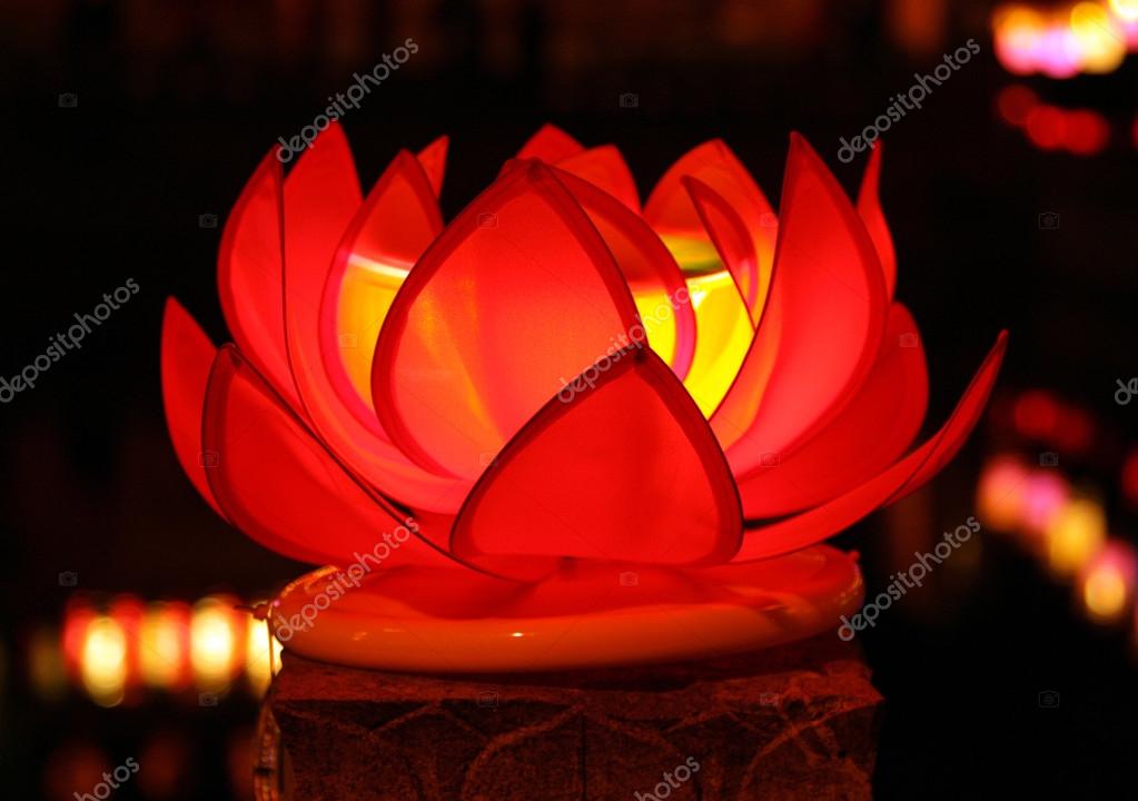 What Is The Meaning Of A Red Lotus Flower Best Flower Site
