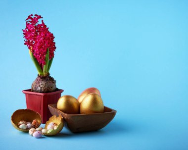 Paskalya konsepti. Altın Paskalya yumurtaları ve mavi arka planda pembe sümbül. Yakınlarda şekerli altın bir deniz kabuğu var. Boşluğu kopyala