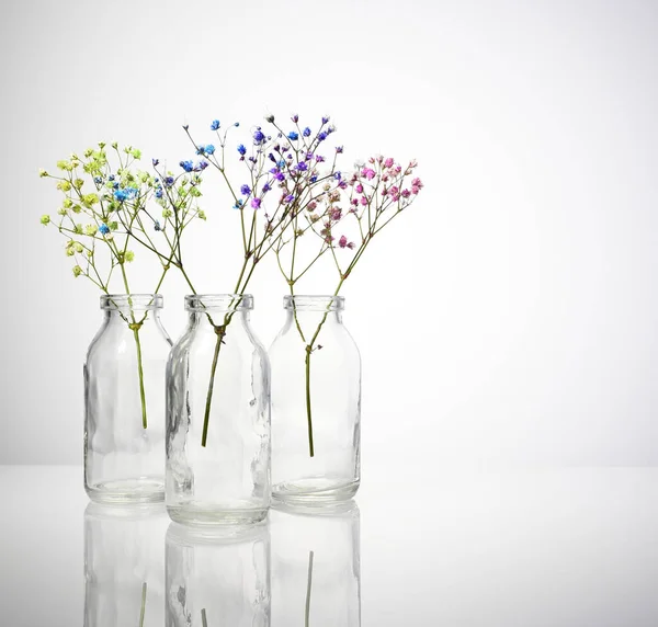 Bir vazo dolusu çingene, yüksek bir anahtarın içinde.